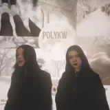 POLYKW - ставки и аналитика