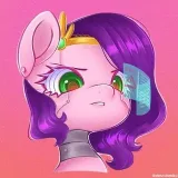Ponies bot - for armor