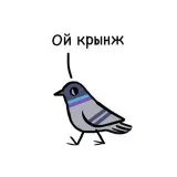 Послание - ежедневные советы