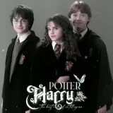 Harry Potter - Potter fans