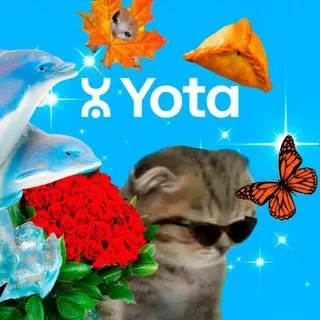 Поздравлятор - нелепые открытки
