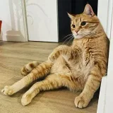 Product Manager’s Diary - дневник PM