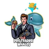 Pro Trader VIP - Трейдинг крипты