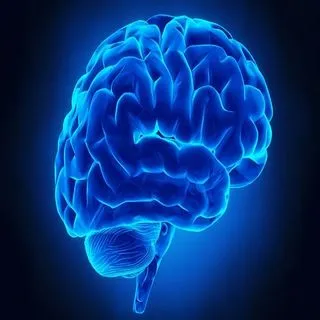 Psychology Videos - Mind Tricks 🧠
