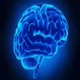 Psychology Videos - Mind Tricks 🧠