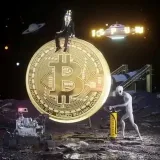 Pumpcoinbets - NFT и крипта