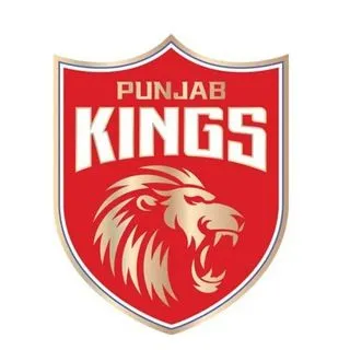 Punjab Kings Fans - фанаты IPL