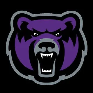 PurpleBear - ИБ и pentest