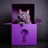 Purradox - aparatos y hechos