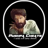 PushpaCheat - cheats for games
