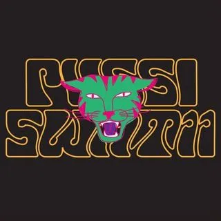 Pussi Swat 11 - Lost & Found music