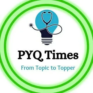 PYQ channel - вопросы экзаменов