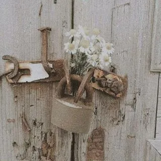 Playlist ♪ - музыкальные плейлисты