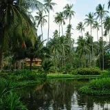Radio Paradise - chill-out music
