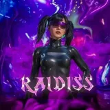 RAIDISS - игровые рейды