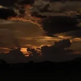 Vidio Galau/Bucin Random 🍂 - видео и общение