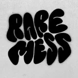 RAREMESS- activities of Cherepovets