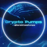 DeFi Ballenas- Crypto pampas.