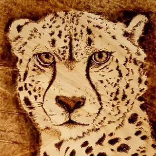 Ras Pyrography - пирография на дереве
