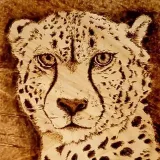 Ras Pyrography - пирография на дереве