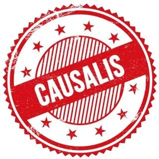 Causalis - политика и видео