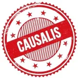 Causalis- politics and video