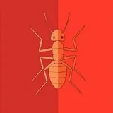 Ant Farm - reviews and news
