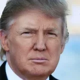 Reply to Donald J. Trump - Support