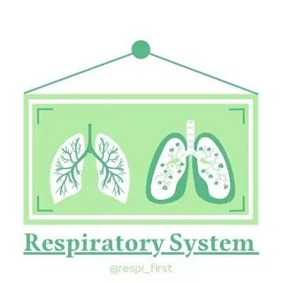 Respiratory System - дыхание