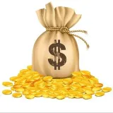 REWARDS AND EARNING - earnings