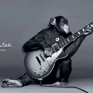 Rocksmith DLC - Официальные дополнения