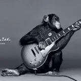 Rocksmith DLC - Официальные дополнения