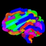 Centro de Neurología - Centro de Neurología