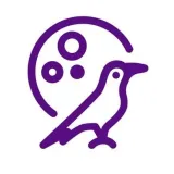 Raven Crypto - комбо Hamster Kombat