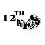 12th PULLINGO - материалы для 12 класса