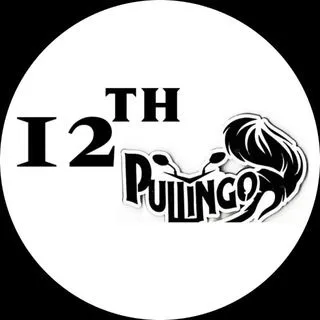 12th Pullingo Materials - учебники 12 класс