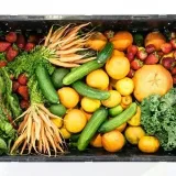 Intercambio de semillas de plantas