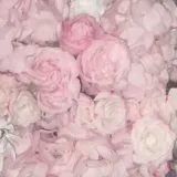 Пруфы SQWOZ - доказательства 🌸