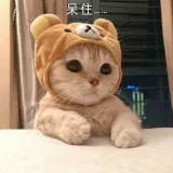 VIP LEAKS - эксклюзивные утечки