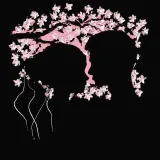 Знакомства Sakura