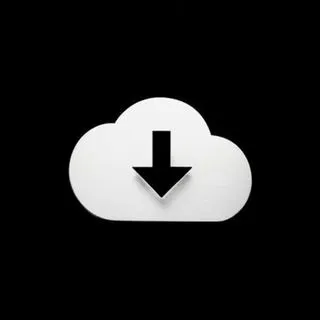 Downloader TikTok Instagram YouTube