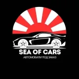 SEA OF CARS - A car from Japan and Korea