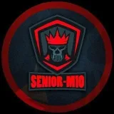 Seniorm10Official-SMMservice