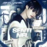 Sentinel - часовой новостей