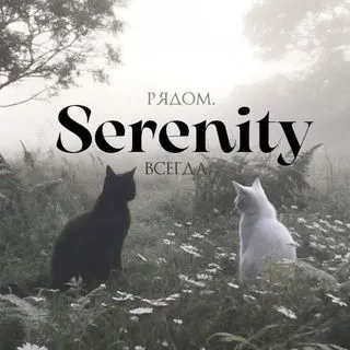 Serenity - Ментальное здоровье