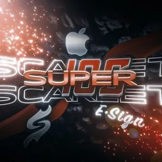 Supersert - сертификаты и TikTok