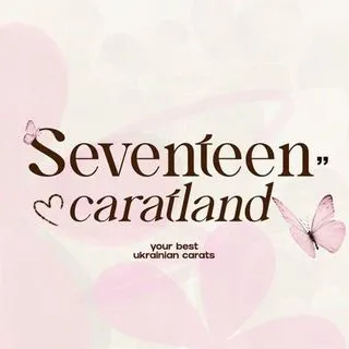 SEVENTEEN - украиноязычная фанбаза