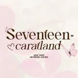 SEVENTEEN- Ukrainian-speaking fanbase