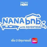 SEVENTEENWorld Tour - subtitles Indonesia