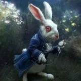 Los conejos son conejos lindos.🐇